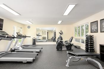 Two treadmills and other exercise equipment in a gym
